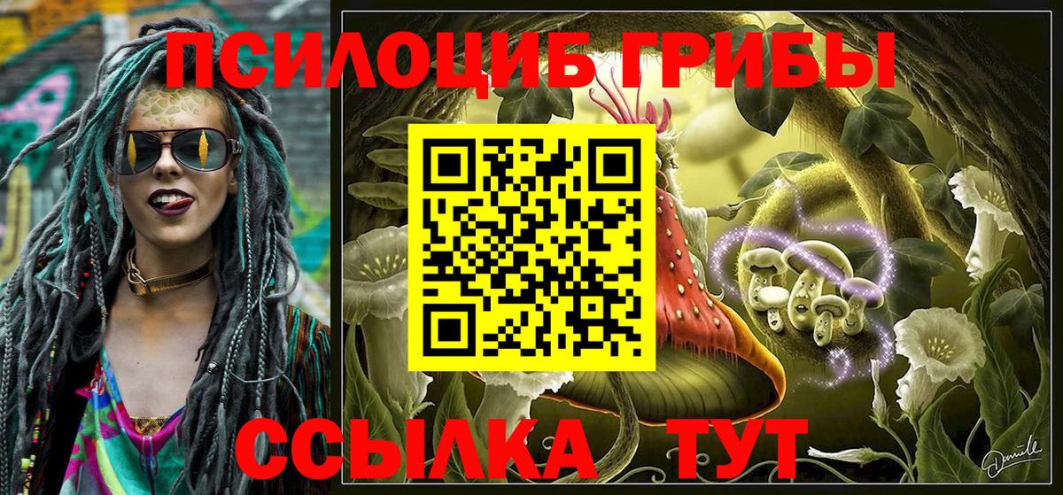 Галлюциногенные грибы прущие грибы  Вход с VPN  Славянск-на-Кубани 
